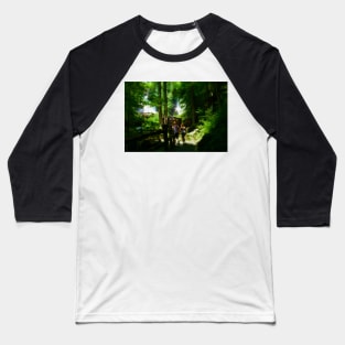 Anna Ruby Falls Baseball T-Shirt